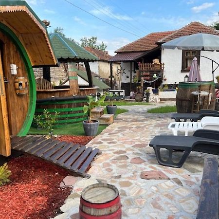 Vila Milica & Spa Aleksandra Dimitrovgrad Bagian luar foto