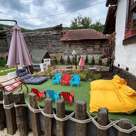 Vila Milica & Spa Aleksandra Dimitrovgrad Bagian luar foto