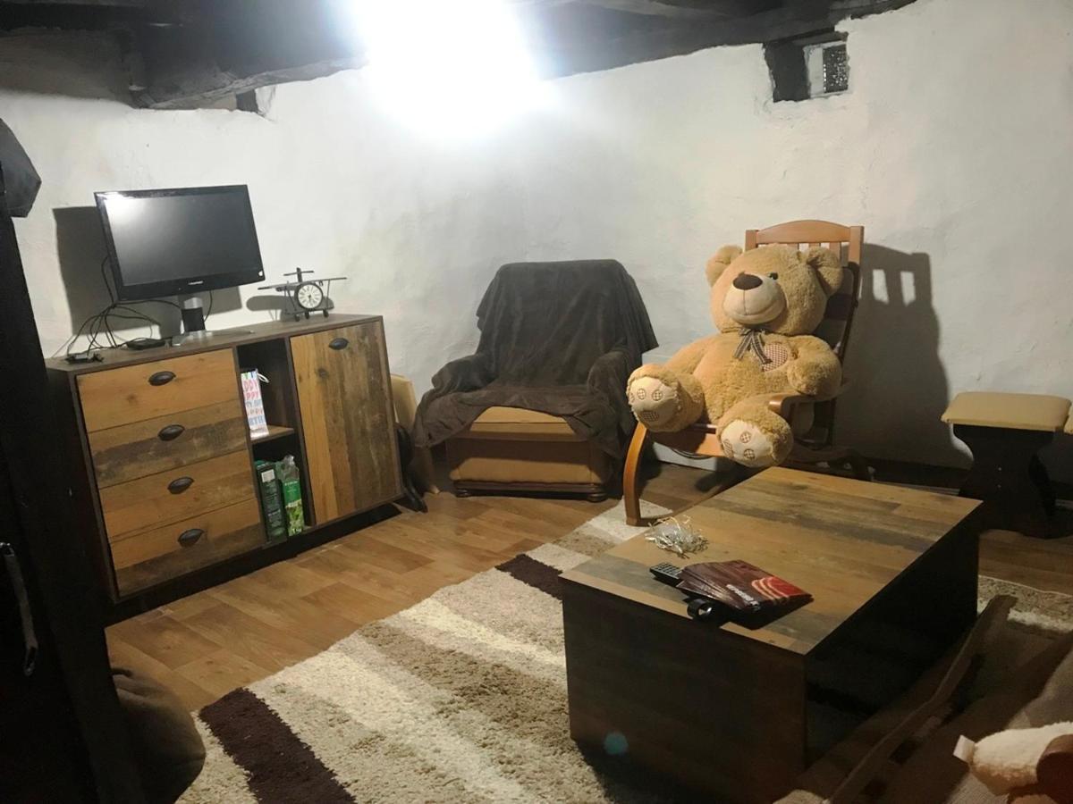 Vila Milica & Spa Aleksandra Dimitrovgrad Bagian luar foto
