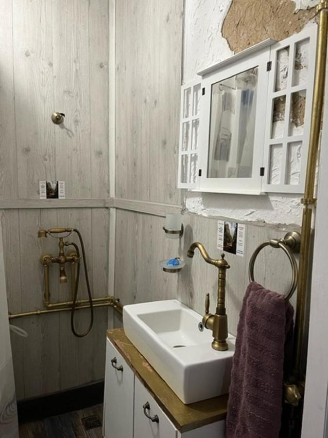 Vila Milica & Spa Aleksandra Dimitrovgrad Bagian luar foto