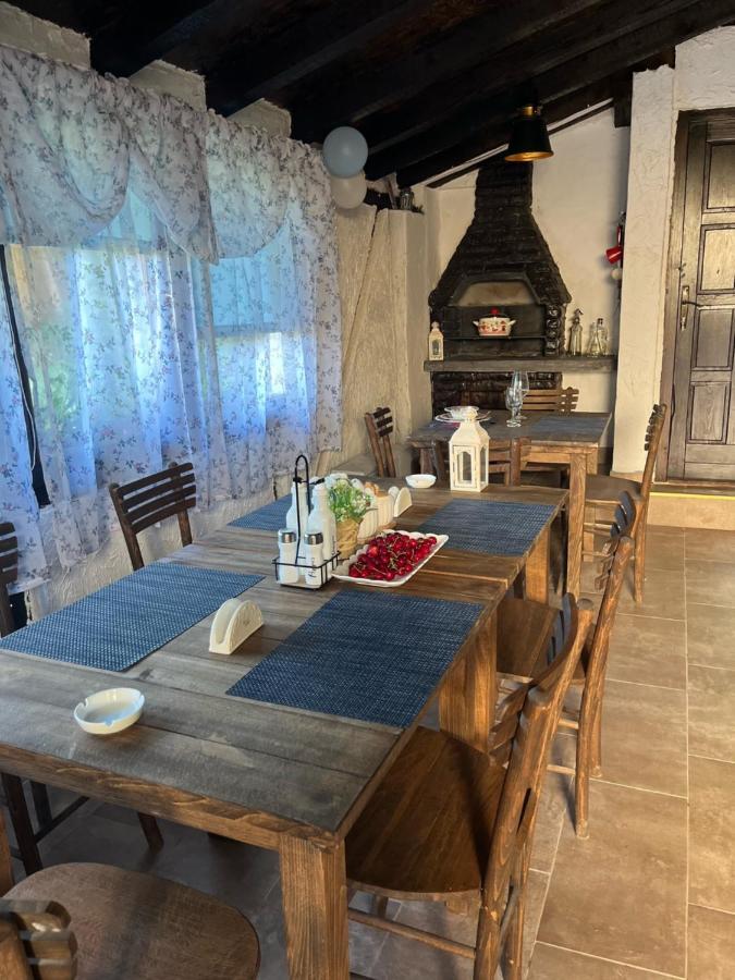 Vila Milica & Spa Aleksandra Dimitrovgrad Bagian luar foto