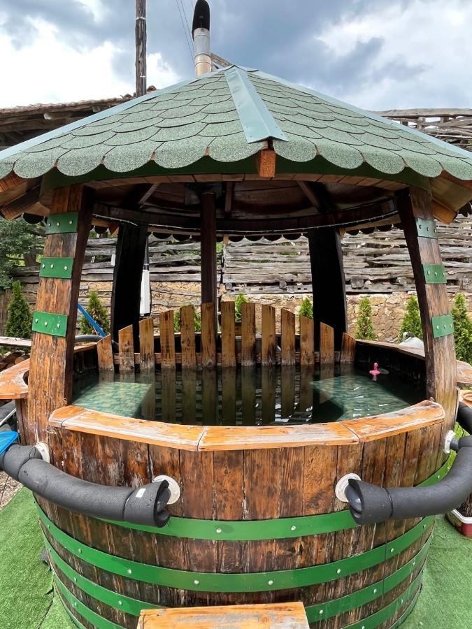 Vila Milica & Spa Aleksandra Dimitrovgrad Bagian luar foto